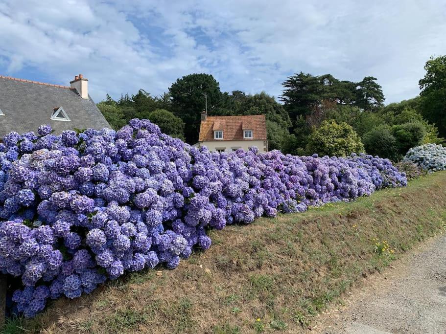La Petite Bretonne