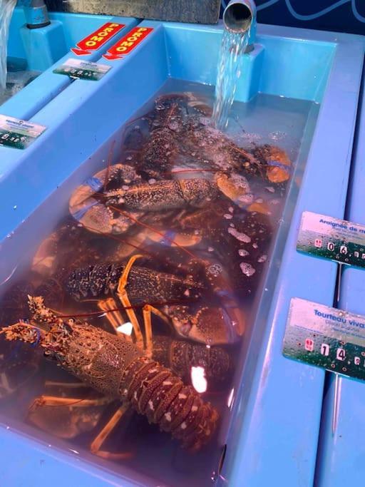 Hébergement de vacances La Petite Bretonne *